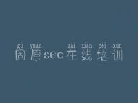 固原seo在线培训 正规网站建设