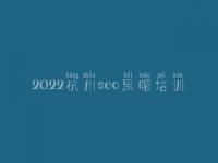 2022杭州seo黑帽培训_高级黑帽实操