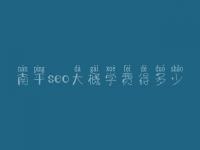 南平seo大概学费得多少_费用标准_服务