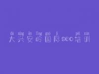 大兴安岭国际seo培训_网站建设网站推广