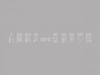 日照周末seo培训多少钱_网页建设软件