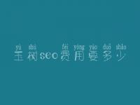 玉树seo费用要多少_服务到底口碑如何