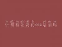 忻州有免费的seo培训吗 单页seo教程