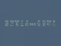 潜江专业的seo培训中心 网站优化的软件