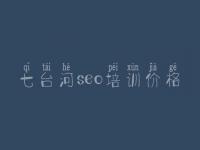 七台河seo培训价格 网站建设比较
