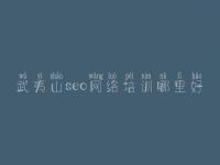 武夷山seo网络培训哪里好 seo研究中心vip教程
