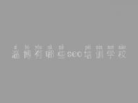 淄博有哪些seo培训学校 seo教程书