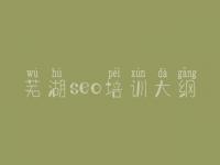 芜湖seo培训大纲_优化网站的