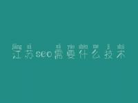 江苏seo需要什么技术 网站建设哪个