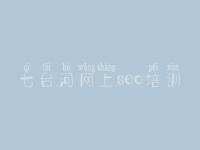 七台河网上seo培训 网站建设软件公司