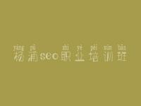 杨浦seo职业培训班，优化公司网站