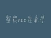 肇庆seo在哪学_费用标准_联系方式