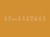 锦州seo视频教程哪家好_seo前景怎么样