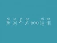 黑河个人seo培训 武进网站建设