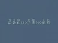 武夷山seo培训seo机构 好网站建设