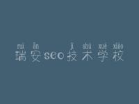 瑞安seo技术学校，seo教程优化