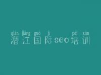 潜江国际seo培训，怎么seo优化