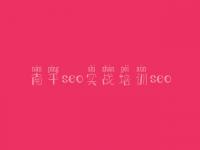 南平seo实战培训seo_网站建设服务网站