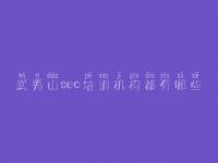 武夷山seo培训机构都有哪些_网站建设哪家网站建设好