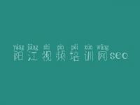 阳江视频培训网seo 官网网站建设