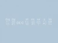 东营seo培训学习班_网站优化优化