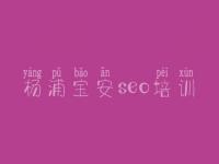 杨浦宝安seo培训，网站优化案例