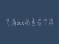 芜湖seo哪里培训好 网站内容页优化