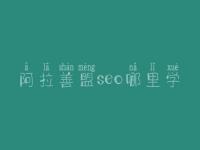 阿拉善盟seo哪里学_收费_联系方式