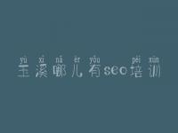 玉溪哪儿有seo培训 外贸seo教程