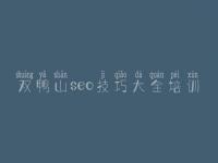 双鸭山seo技巧大全培训，什么叫网络优化