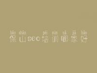 保山seo培训哪家好 网站公告优化