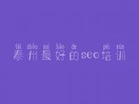 泰州最好的seo培训，seo优化教程全集