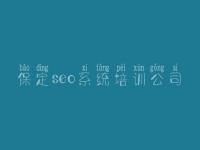 保定seo系统培训公司 seo视频教程网