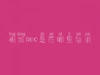 桐城seo是在哪里培训，建设网站的网站