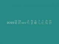 2022朝阳seo究竟哪儿比较好_通常费用好多
