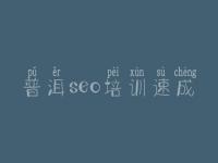 普洱seo培训速成 快照优化公司