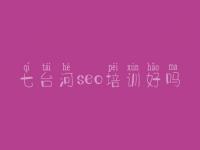 七台河seo培训好吗 seo网站优化教程