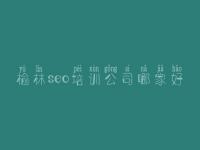 榆林seo培训公司哪家好 县政府网站建设