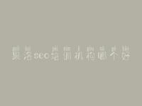 果洛seo培训机构哪个好_网络优化平台
