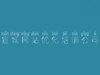 宣城网站优化培训公司_国外seo教程