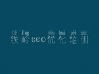 铁岭seo优化培训 seo基础入门视频教程