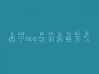 西宁seo培训需要多久 网站优化的流程