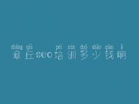 章丘seo培训多少钱啊 开发网站建设