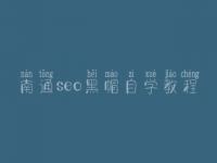 南通seo黑帽自学教程_高阶黑帽实操