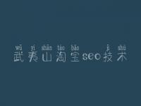 武夷山淘宝seo技术 seo基础教程下载