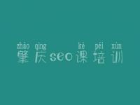 肇庆seo课培训_网站排行优化