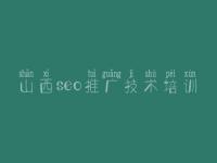 山西seo推广技术培训，安徽网站建设