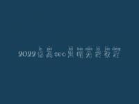 2022临高seo黑帽免费教程_高端黑帽实战