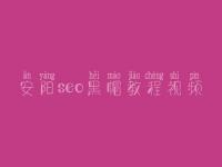 安阳seo黑帽教程视频_精品黑帽实操