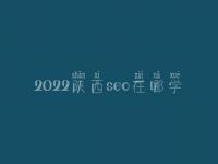 2022陕西seo在哪学_培训班_联系方式